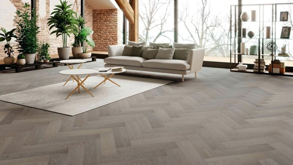 Classen дуб медовый 34822