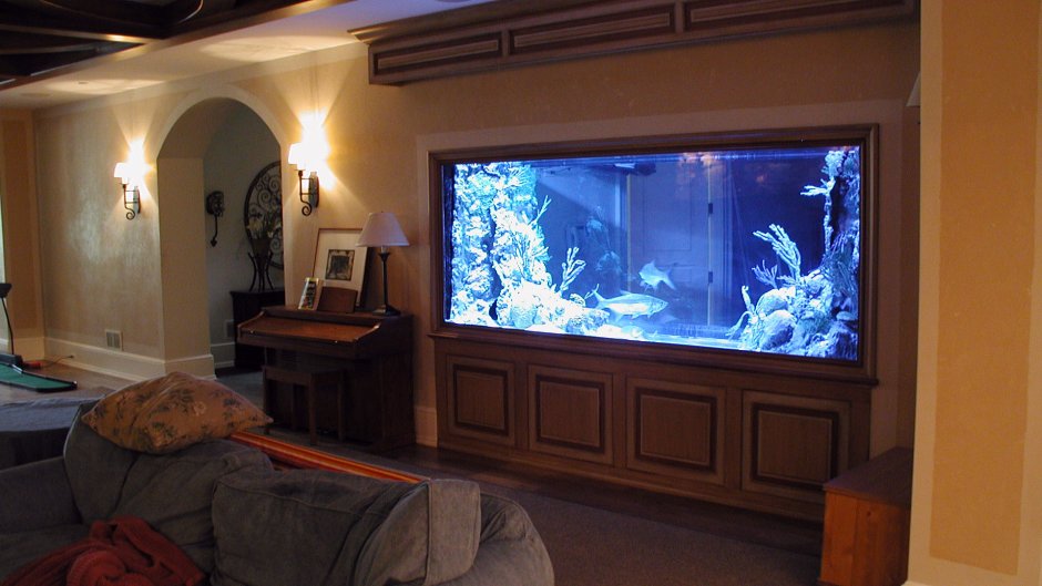 Огромный аквариум в доме