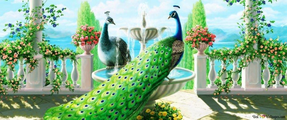 Фреска сад Павлины