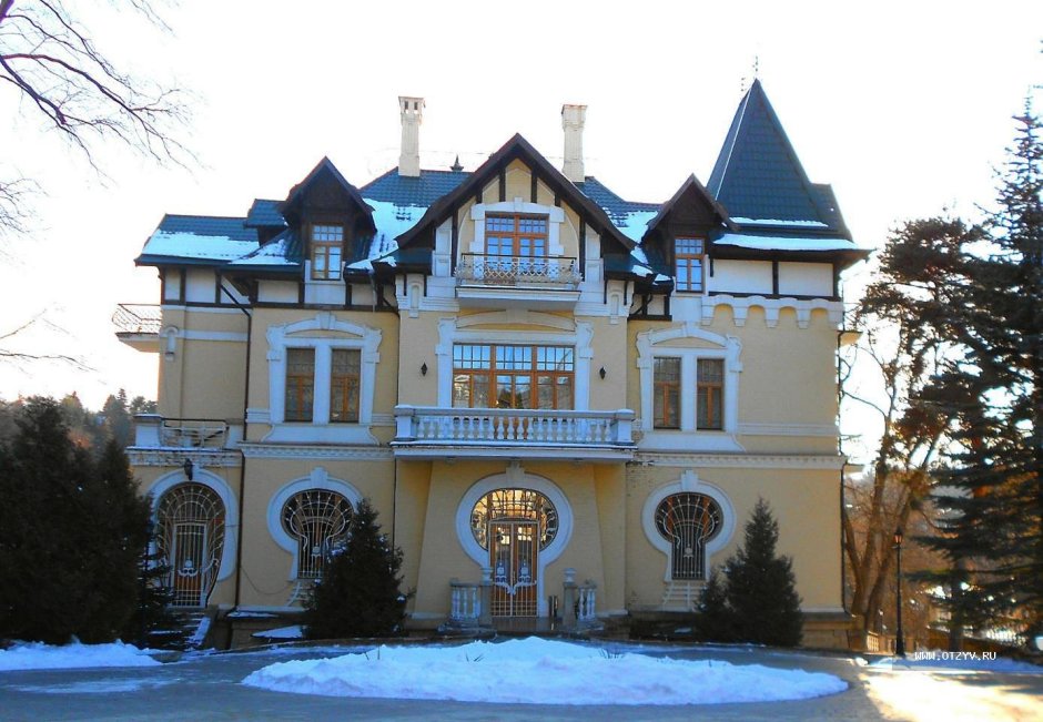 Брынцалов дворец в Салтыковке