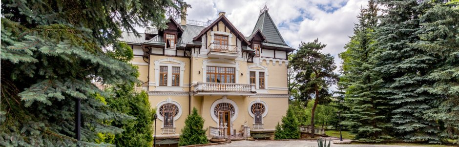 Манасир Зияд дворец