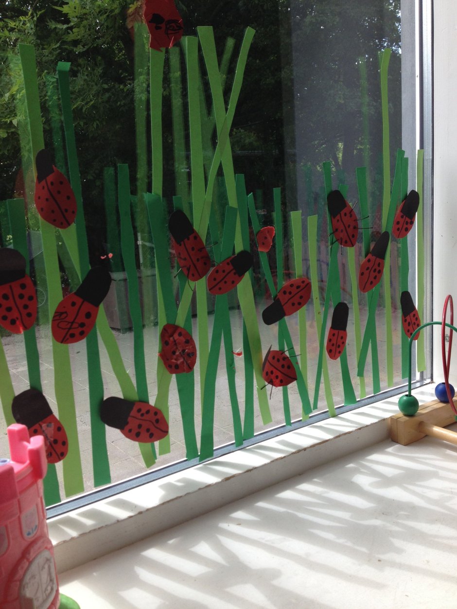 Уголок природы на окне