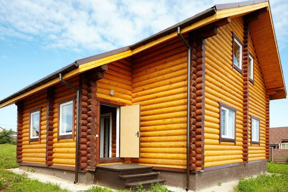 Цвет калужница Тиккурила