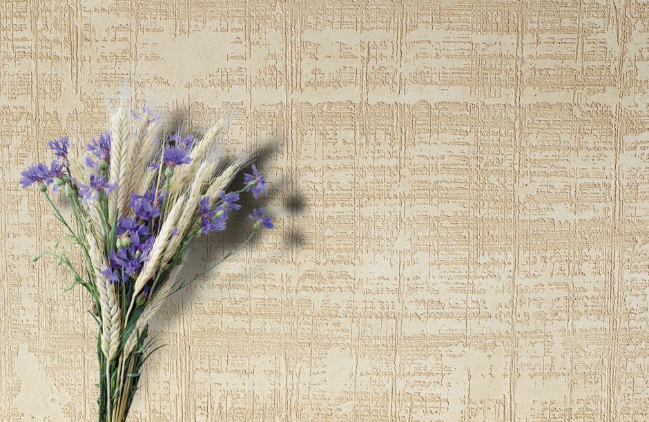 Декоразза Траверта