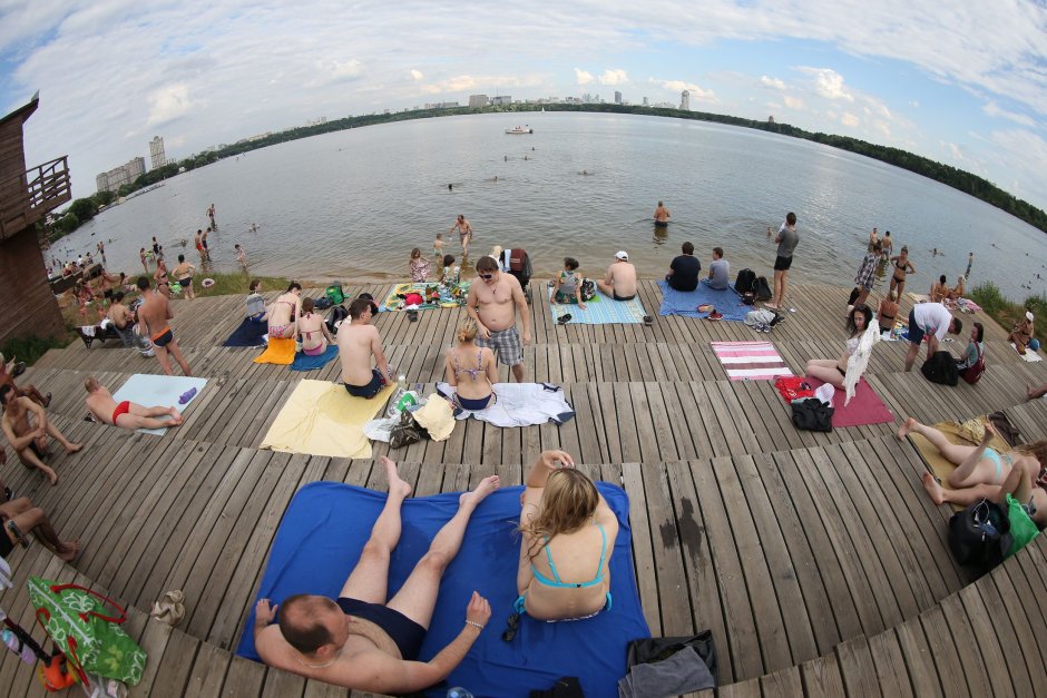 Девушки загорают в парках