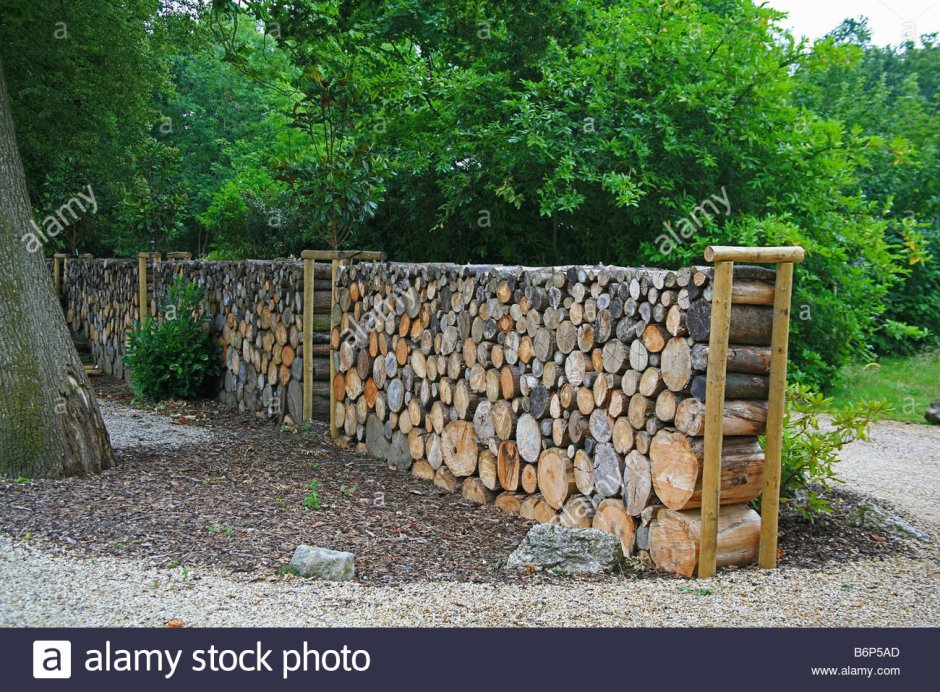 Дровяник из березовых стволов