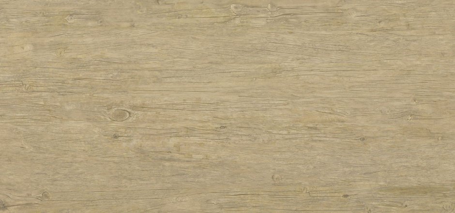 Дуб Баррик светлый u3175