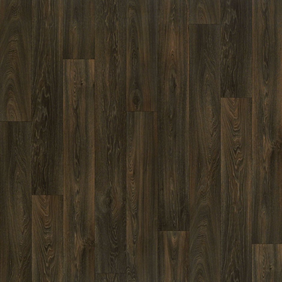 H1486 st36 сосна Пасадена