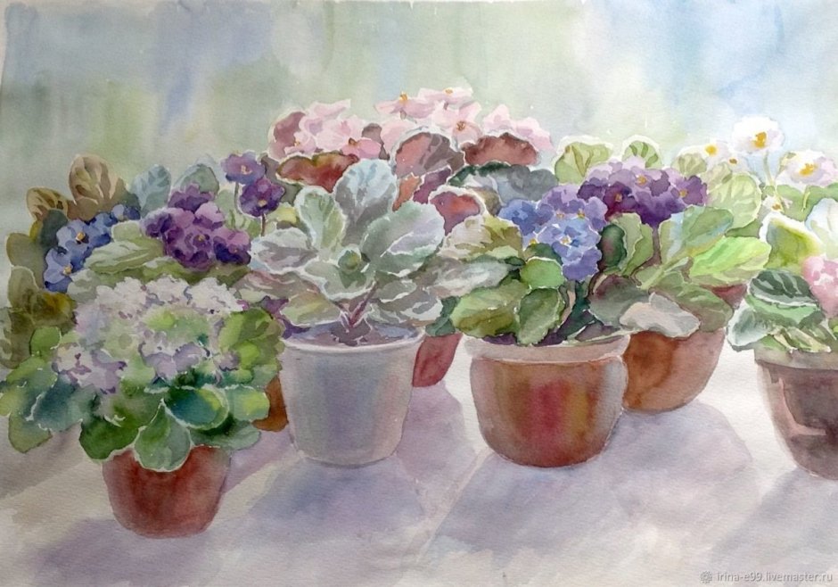 Фиалки в интерьере