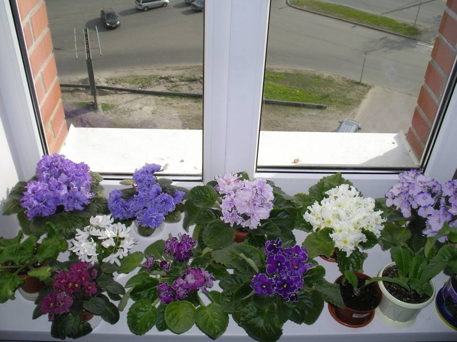 Светильник для растений фиалок