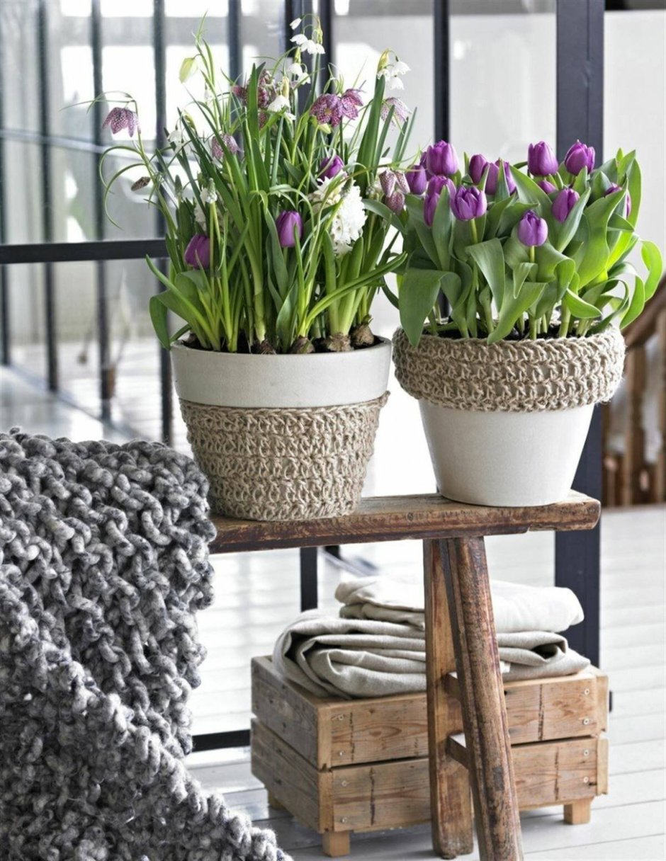 Растения в скандинавском интерьере