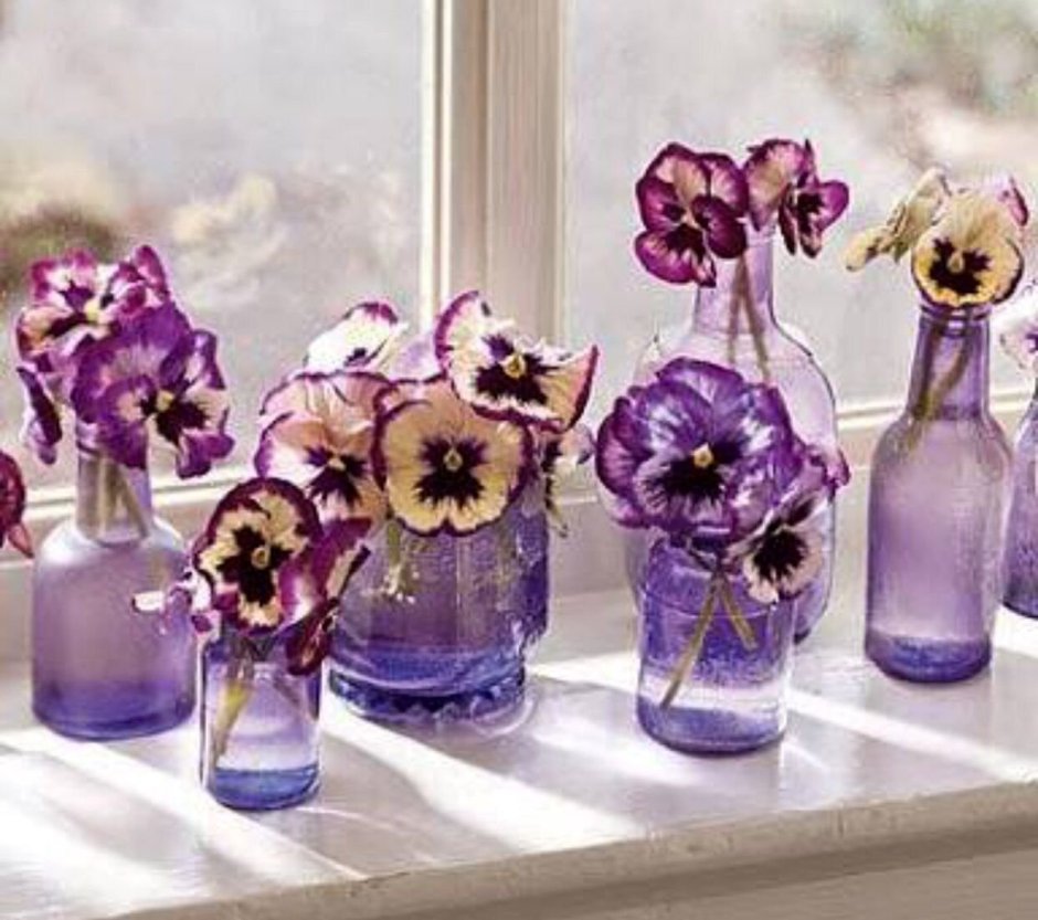 Кашпо Лечуза для фиалок