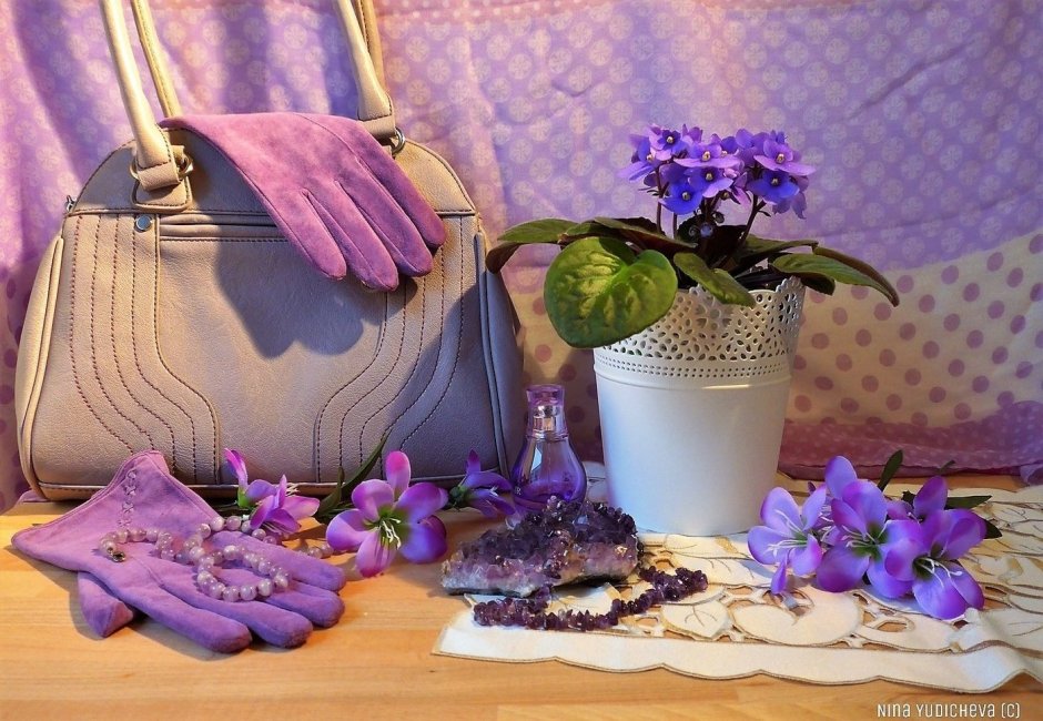 Фиалки подоконные