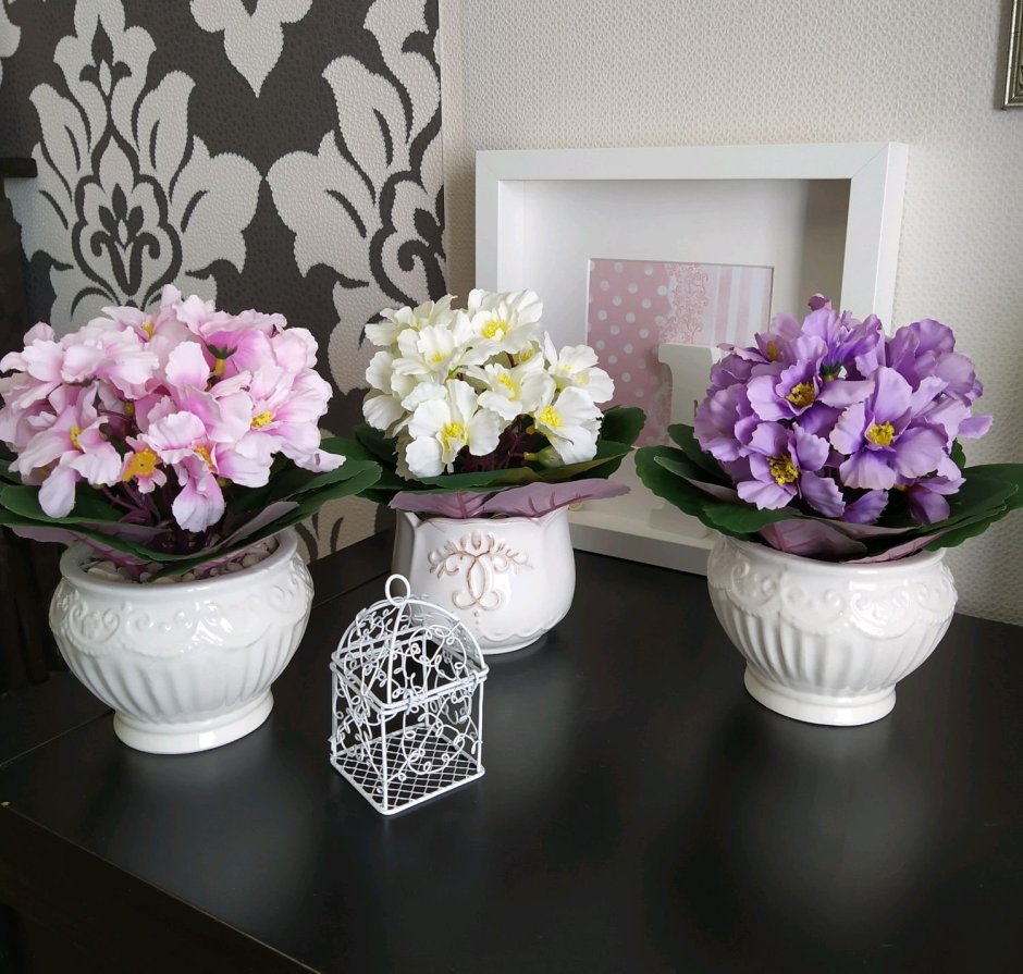 Фиалки на подоконнике