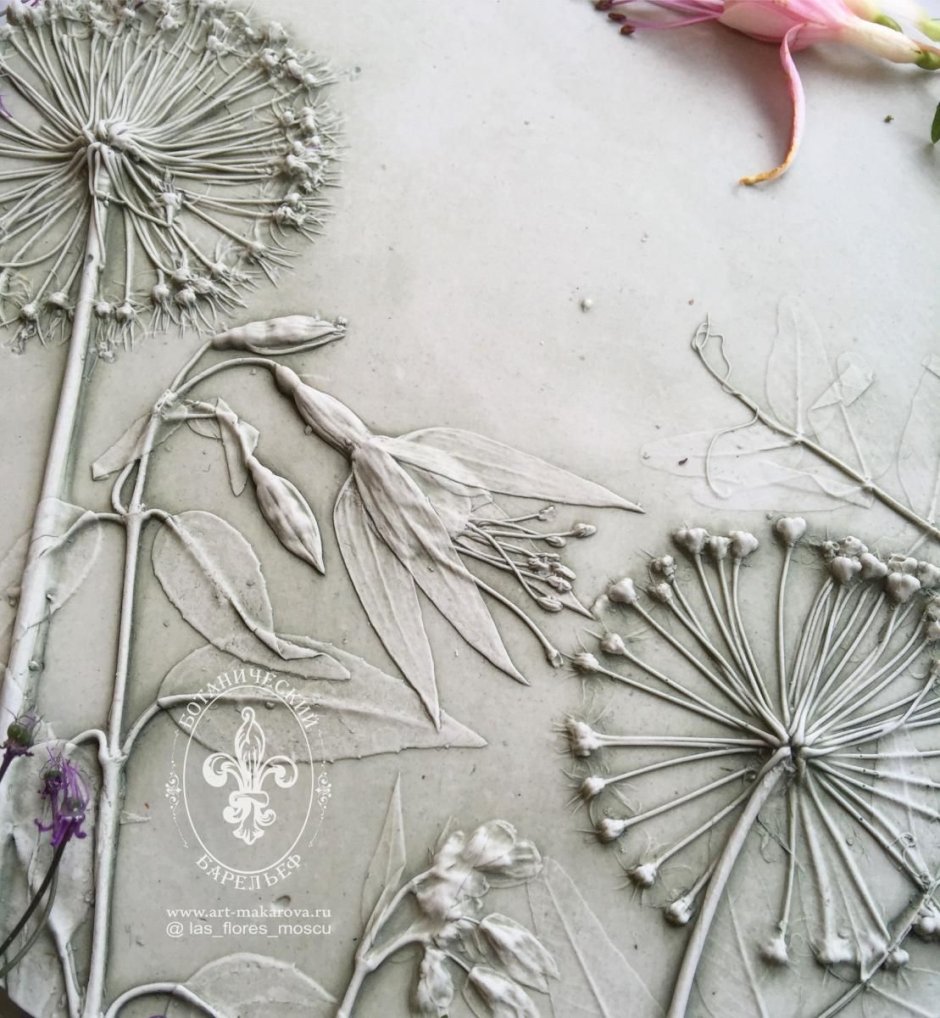 Марианна Макарова Ботанический барельеф