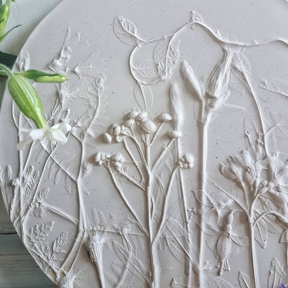 Ботанический барельеф