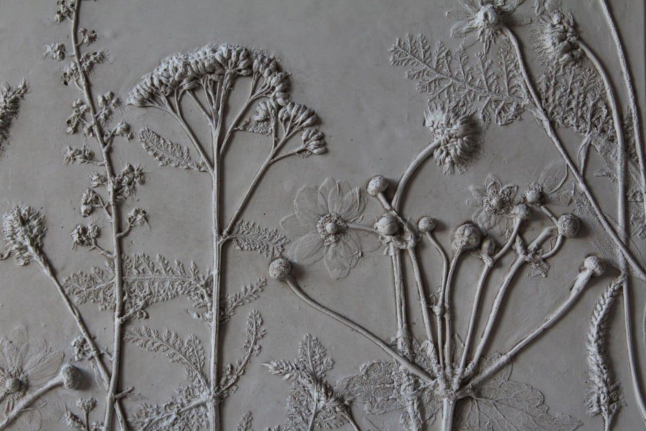 Ботанический барельеф Золотая поталь