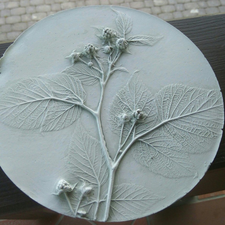 Ботанический барельеф укроп