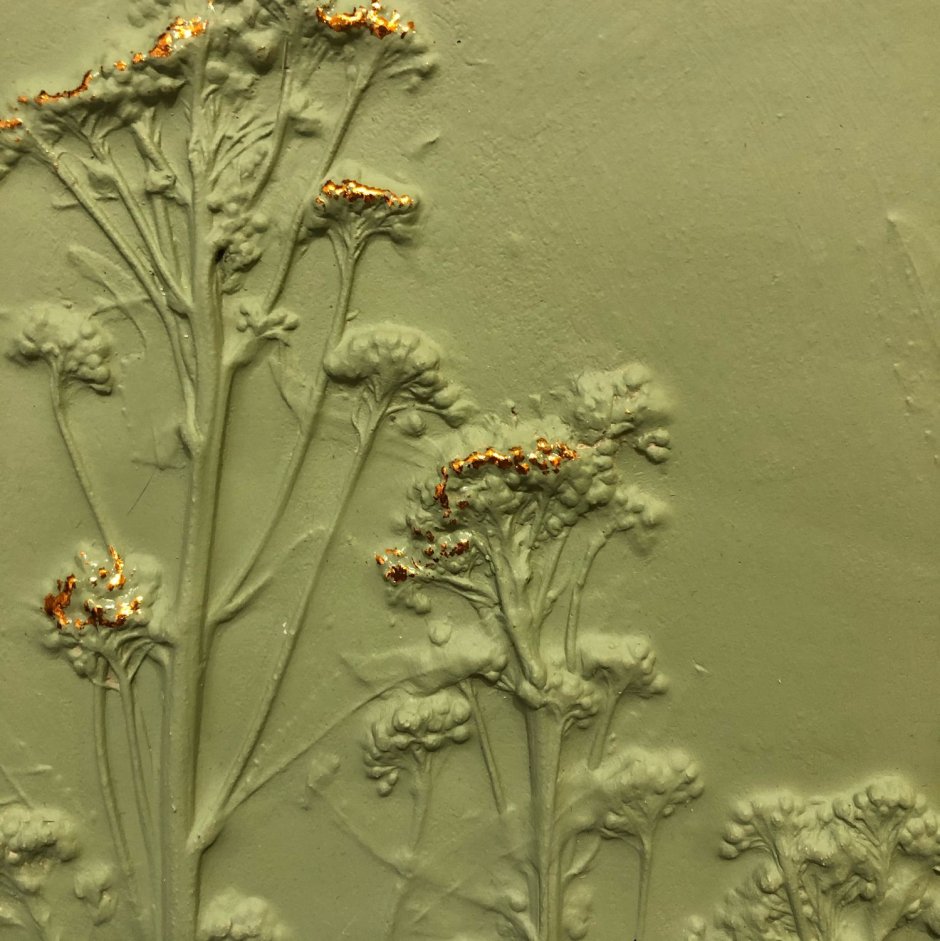 Робинсон Ботанический барельеф