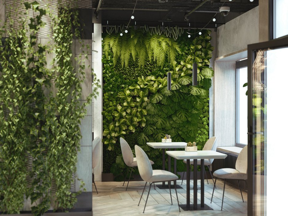 Уютное кафе с растениями