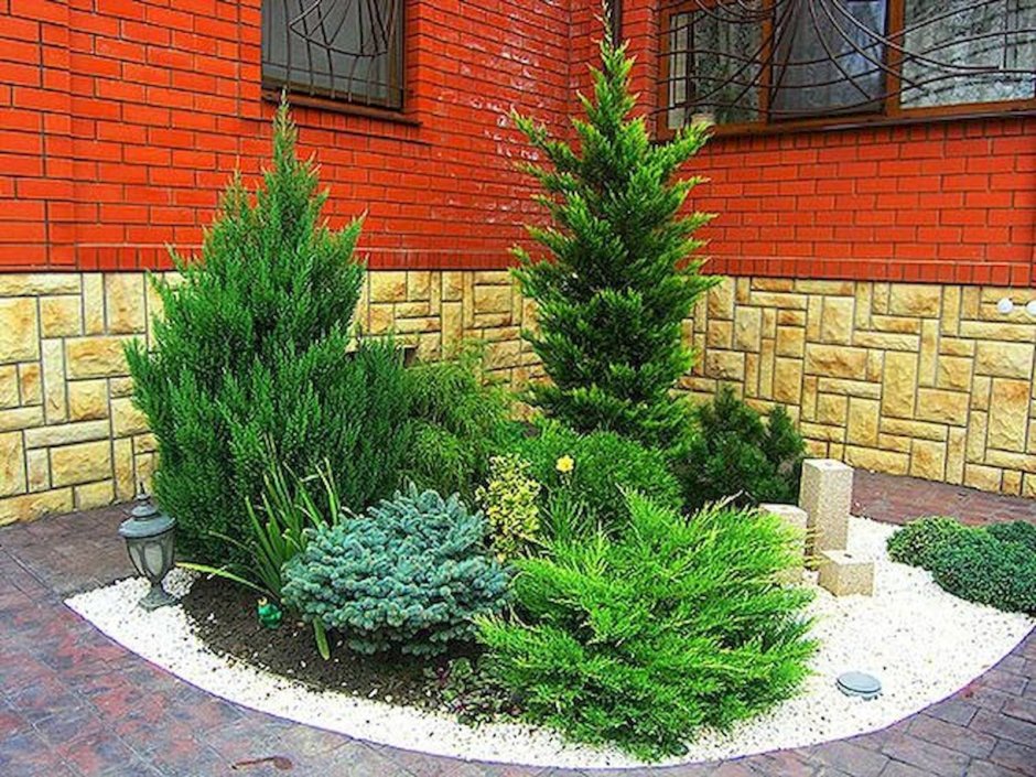 Хвойный рокарий миксбордер