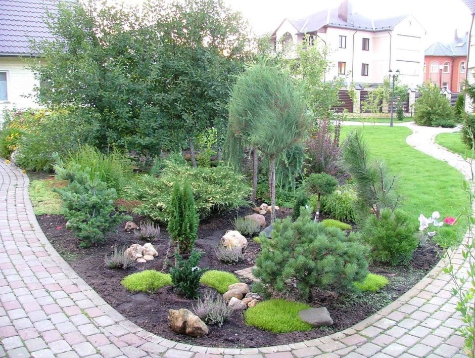 Цветник Барбарис туя роза почвопокровная