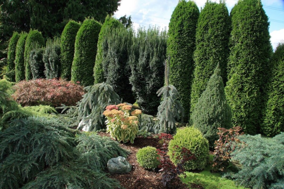 Оксана Хлебородова миксбордер