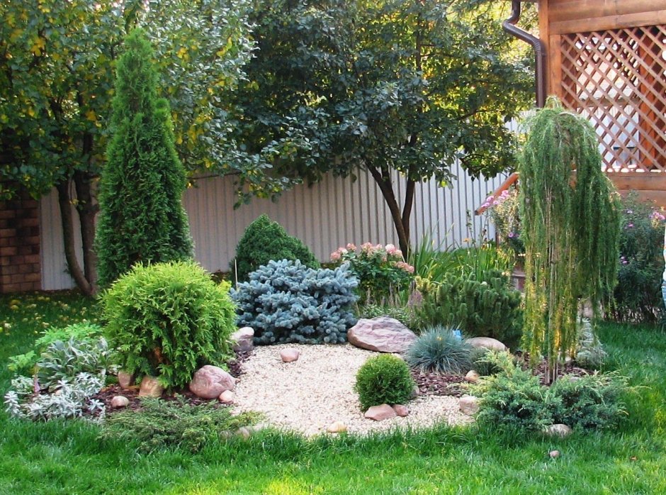 Можжевельник скальный Стрикта