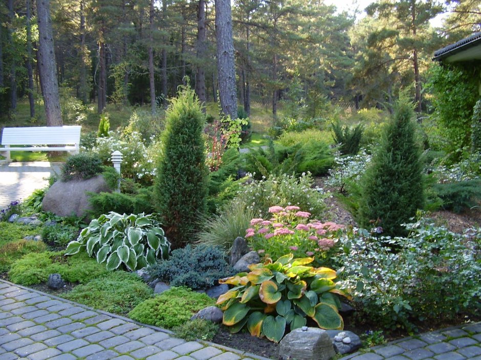 Миксбордер туя гортензия Барбарис можжевельник