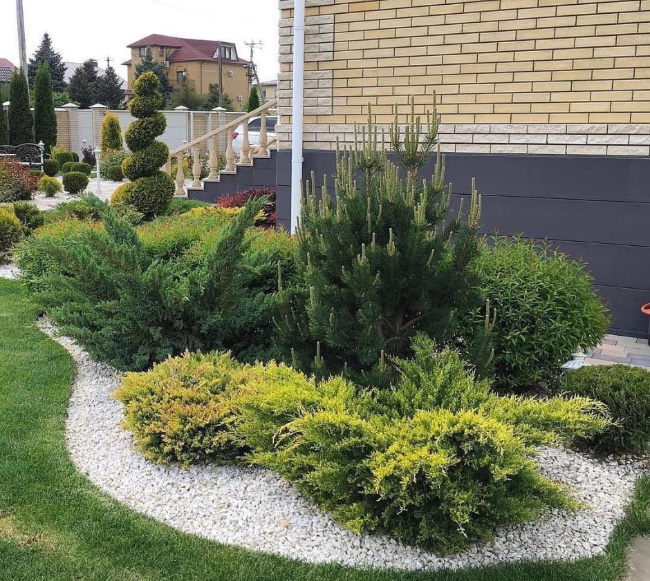 Туя Смарагд в ландшафтном