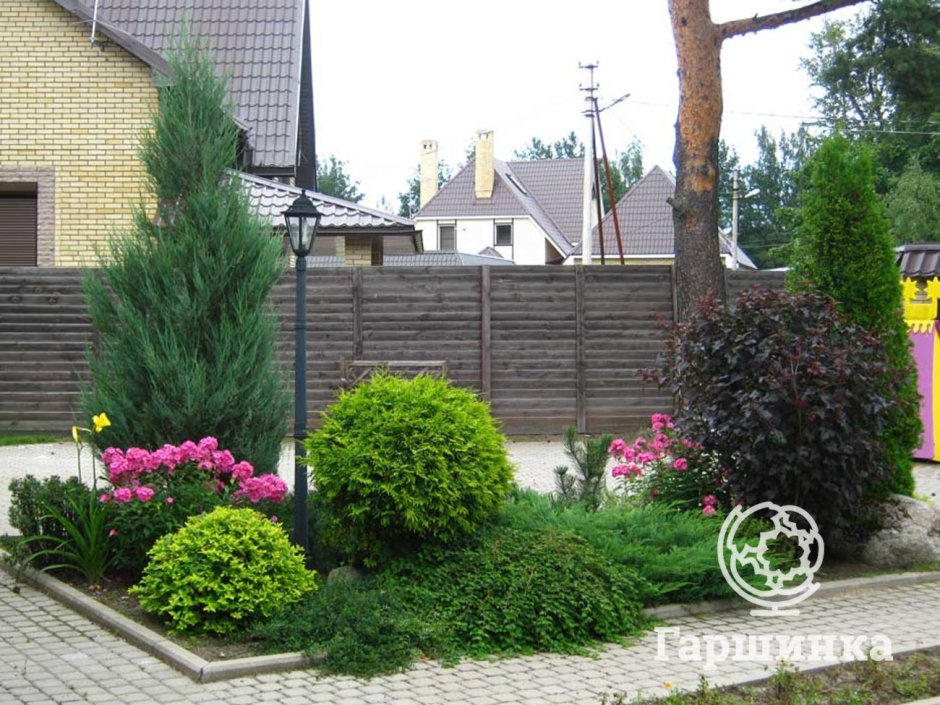 Туя Смарагд в ландшафтном