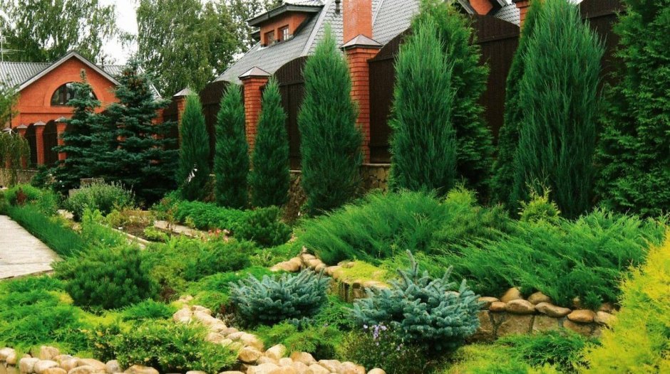 Ива Нана в миксбордере