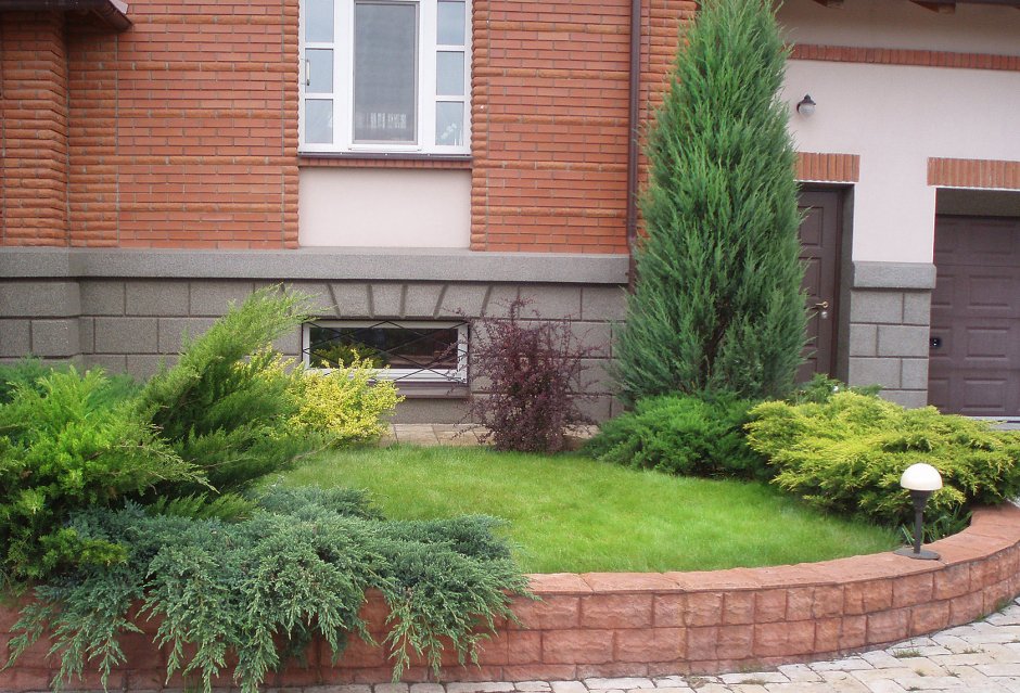 Пинарий хвойники