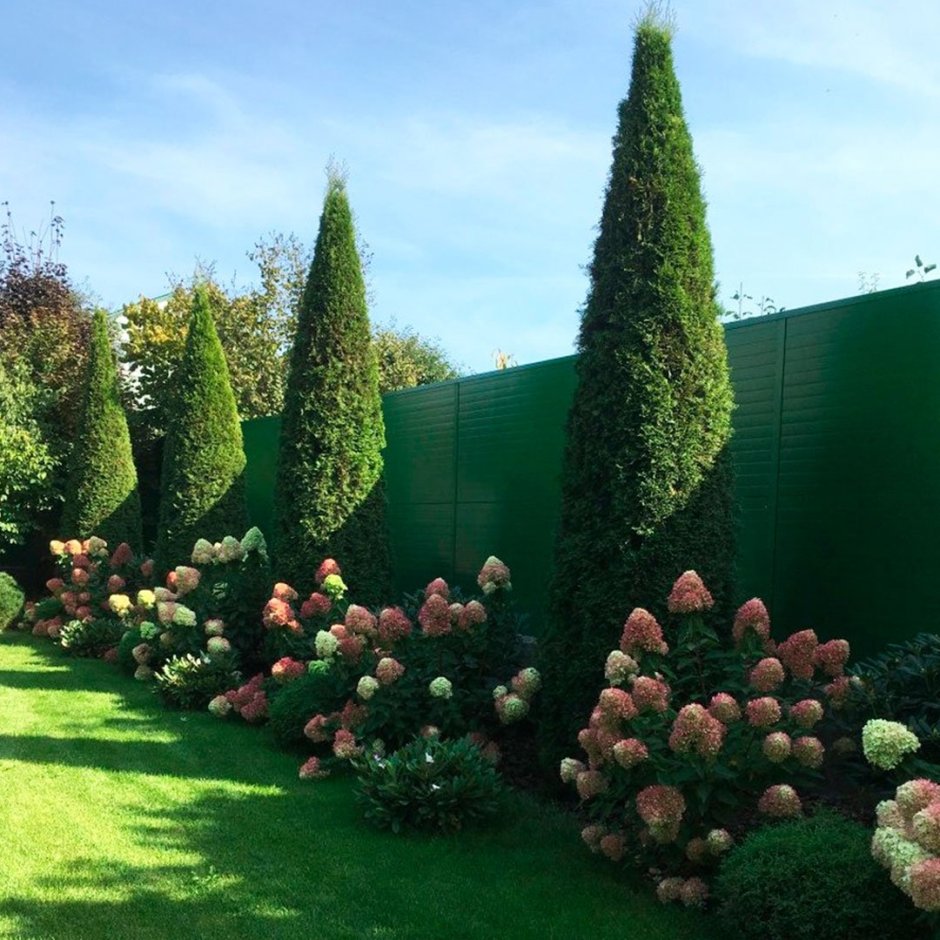 Хвойно Вересковый миксбордер