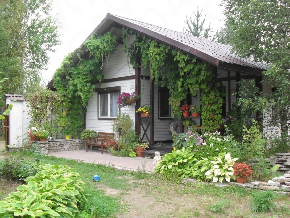 Дача в Баку