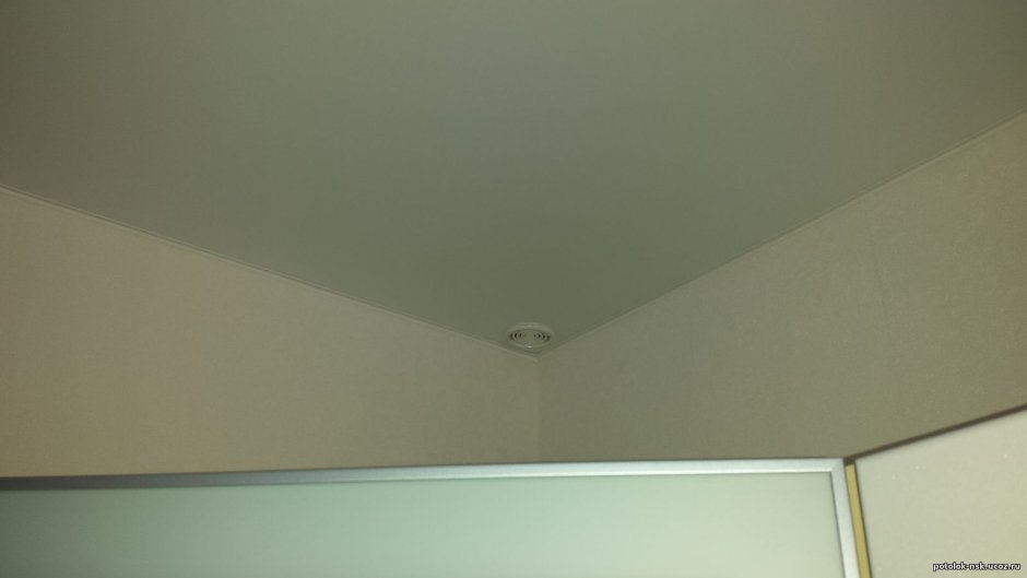 Мышь в натяжном потолке