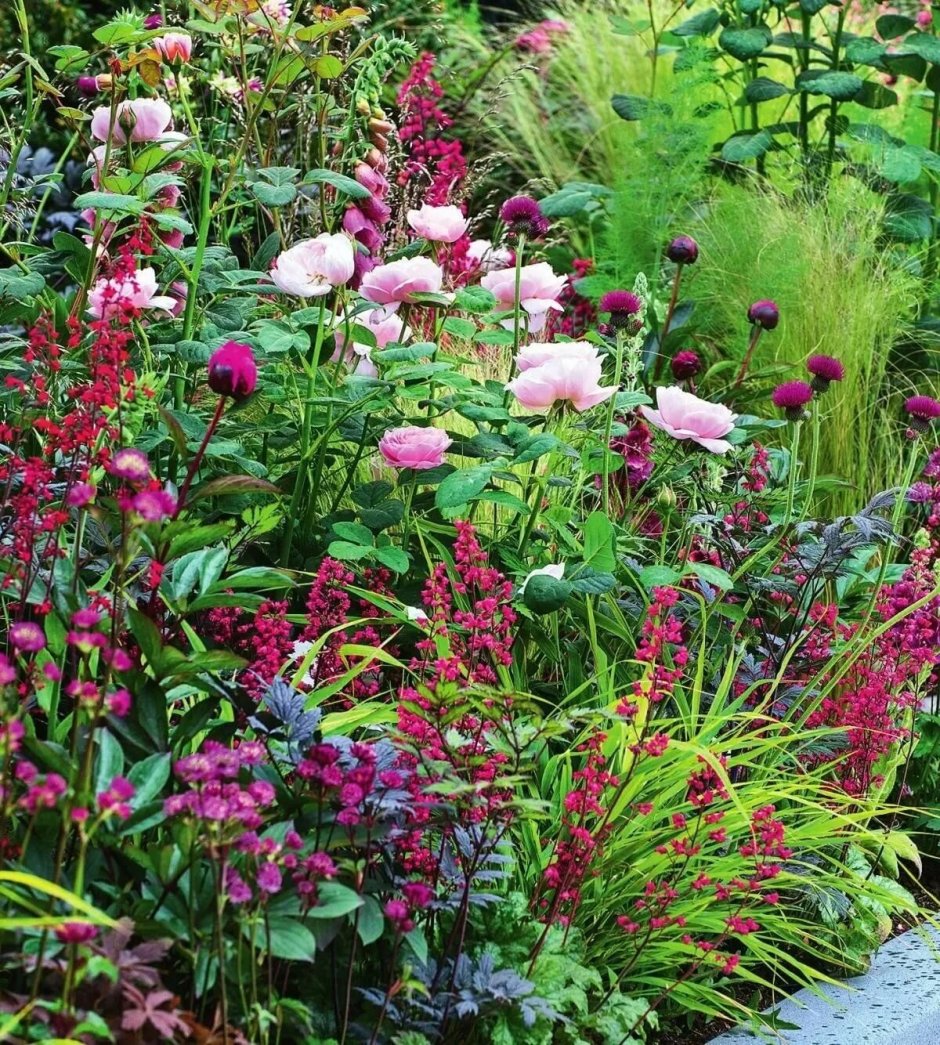 Миксбордер с розами