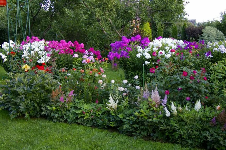 Клумба Флоксы астильба хризантемы