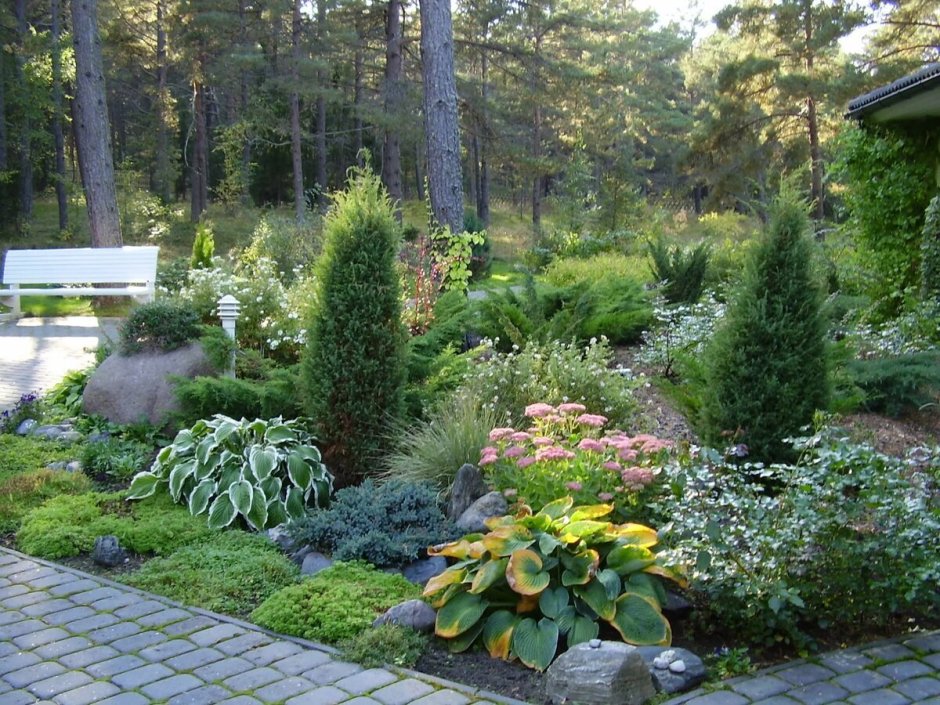 Хвойный миксбордер