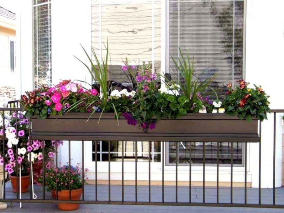 Цветы в балконных ящиках