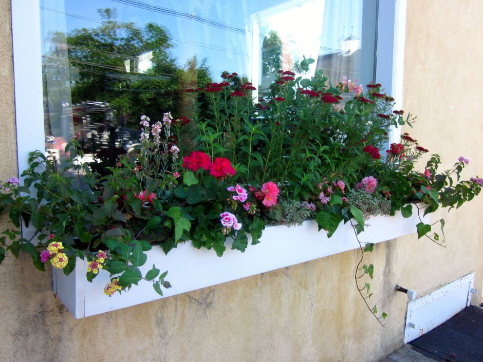 Подвесные ящики для цветов на балкон