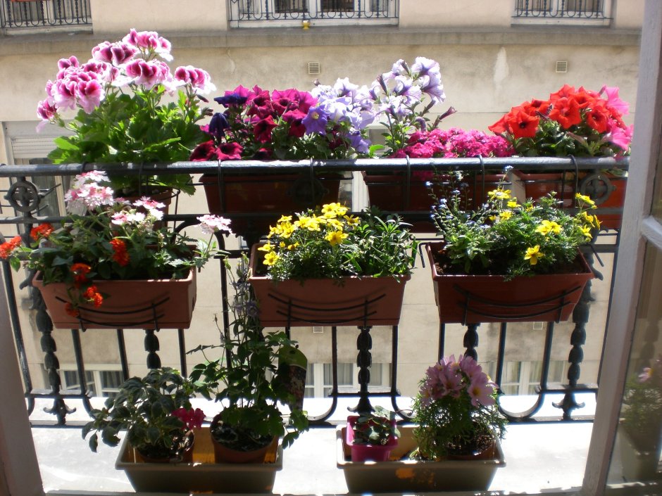 Кашпо на балкон для цветов