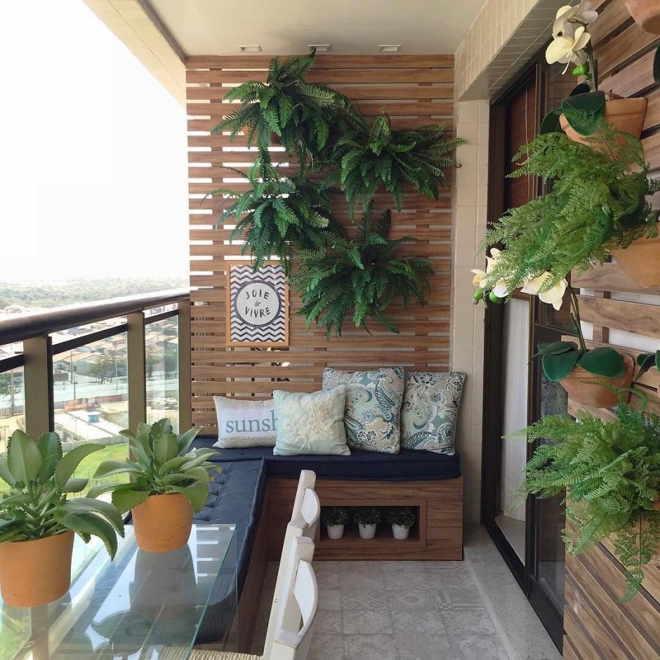 Растения для открытого балкона