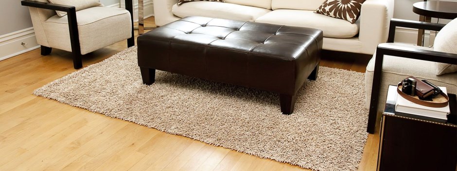 Anji Mountain Silky Shag area Rug 3d