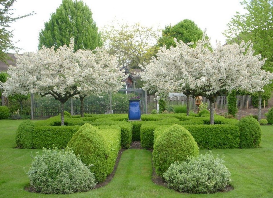 Скандинавский сад Front Yard