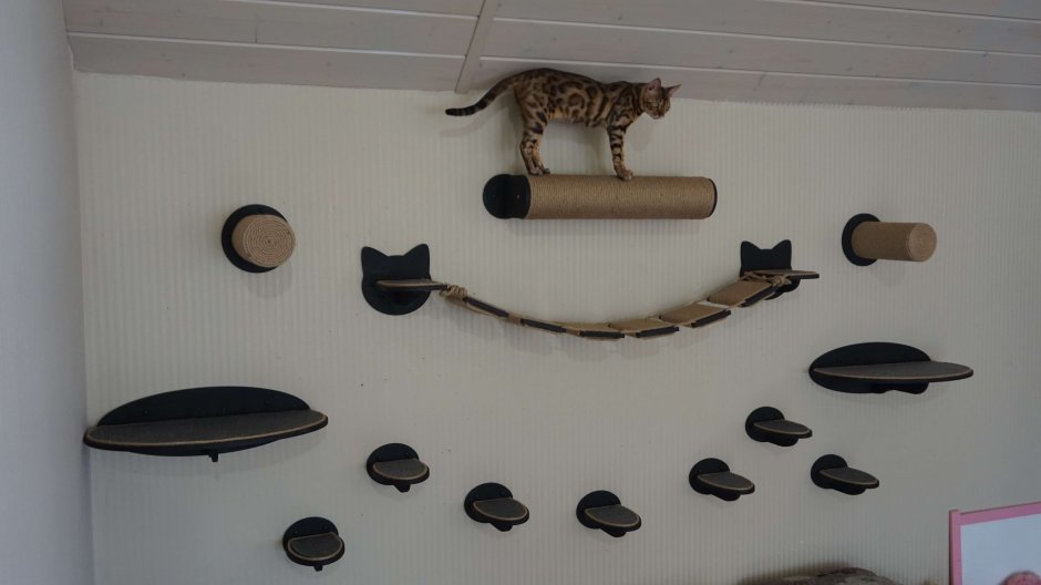 Игровой комплекс для кошек на стену