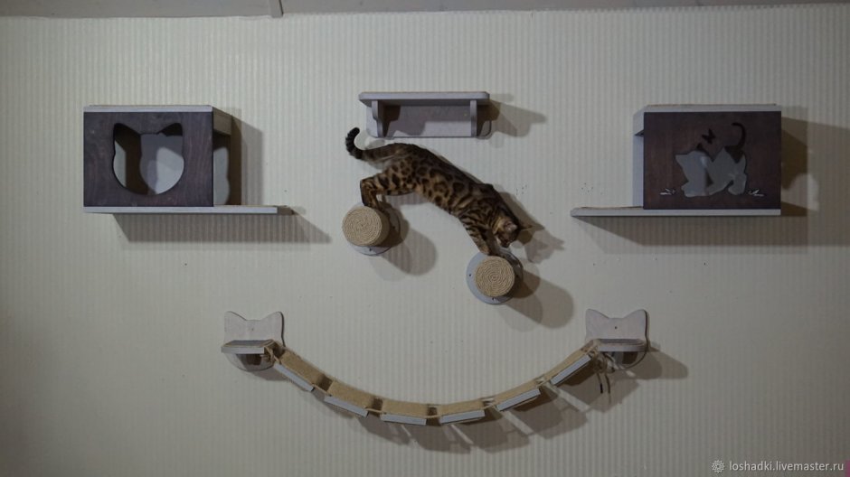 Настенный комплекс для кота