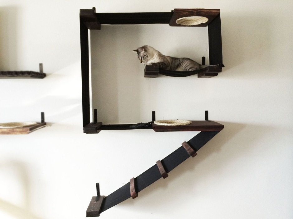 Полка для кошек на стену