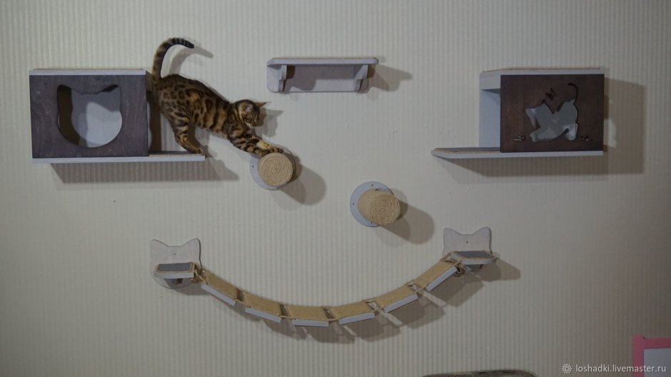 Игровой комплекс для кошек, Jiyoun Kim Studio.
