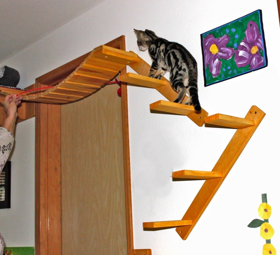 Настенная лестница для кошек